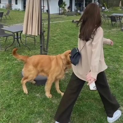 左撇子女孩